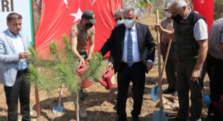 15 Temmuz Demokrasi çeşitli etkinlikler düzenlendi