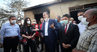 Çelik'ten orman yangınında zarar gören alanlarda inceleme