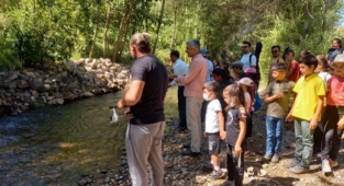 Çocuklar için balık tutma etkinliği