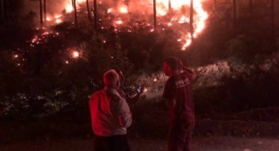 Feke'de çıkan orman yangınına müdahale ediliyor