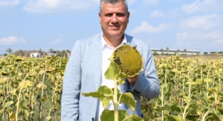 Ayçiçeği ön alım fiyatları gecikmeden açıklansın