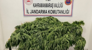 KENEVİR OPERASYONU