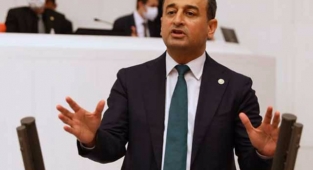 Kimyasaldan binlerce balık öldü