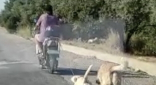 Köpeğin yolda sürüklenmesi kameraya yansıdı