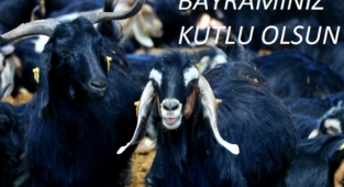 KURBAN BAYRAMINIZI KUTLU OLSUN