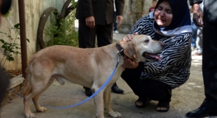 OĞULLARININ EMANETİ KÖPEĞE SAHİPLENDİLER