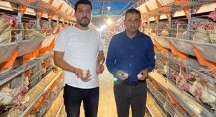 Tavuk ve yumurta üreticileri zorda
