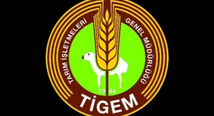 Yağlık ayçiçeği açık artırma usulü ile satılacak
