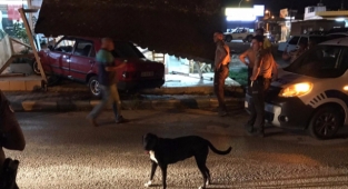 Adana'da otomobil kahvehaneye girdi