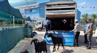 Anamur Belediyesinden MHP'nin yardım kampanyasına destek