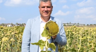 Ayçiçeğinde üretimin 2 katı tüketim var