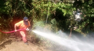 Hatay'da ormanlık alanda çıkan yangın söndürüldü