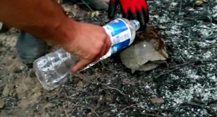 Küller arasından yaşama döndü