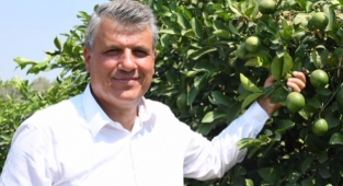 Limon üreticisine ihracat darbesi
