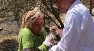 Yaşlı çift, tedavi edilen kedilerine kavuştu