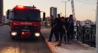 Sulama kanalında mahsur kalan kediyi itfaiye kurtardı