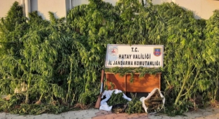 Operasyonlarında yakalanan 3 zanlıdan 2'si tutuklandı