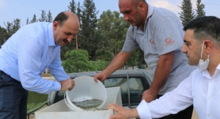 2 milyon balık yavrusu göl ve göletlere bırakıldı
