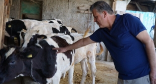 Et alım fiyatlarına büyük tepki