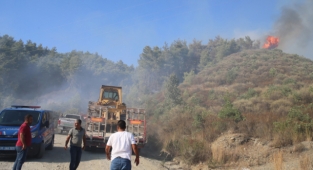 Hatay'da çıkan orman yangını kontrol altına alındı