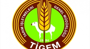 Kömür satın alınacak