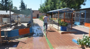 Kozan’da sokak hayvanlarına özel ilgi