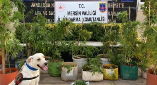 Mersin'de uyuşturucu operasyonunda 1 şüpheli yakalandı