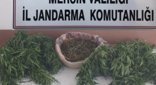 Uyuşturucu operasyonunda 1 şüpheli yakalandı