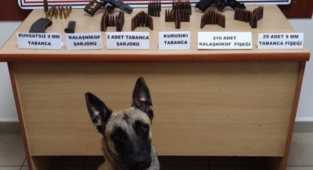 Evinde silah ve mühimmat ele geçirilen şüpheli yakalandı
