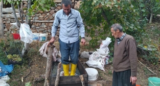 Feke'de üzüm pekmezi yapımı devam ediyor