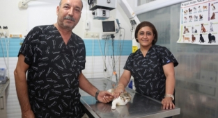 KEDİ YAVRUSUNU TEDAVİ ETTİLER
