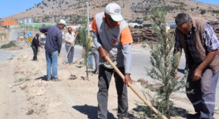 Kozan OSB ağaçlandırılıyor