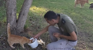 Polisten sokak hayvanlarına mama ve su desteği