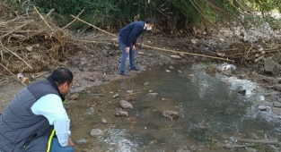 Çayda balık ölümleri görülmesi üzerine inceleme başlatıldı