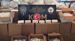 Gümrük kaçağı 20 milyon 210 bin makaron ele geçirildi