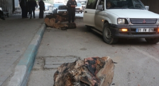 Kamyondan düşen odunlar 3 otomobile zarar verdi