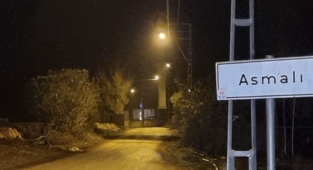 Mavi dil hastalığı