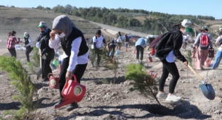 Milli Ağaçlandırma Günü'nde fidanla buluşturuldu