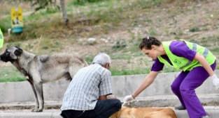 Sokak hayvanlarına şefkat eli