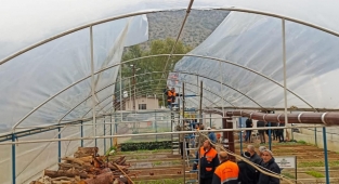 Belediye serası yağış kurbanı
