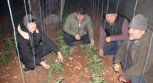 Mersin'de çiftçiler zirai don nöbeti tutuyor