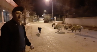 Örnek vatandaş