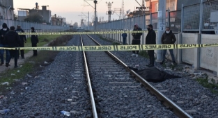 TRENİN ALTINDA KALDI