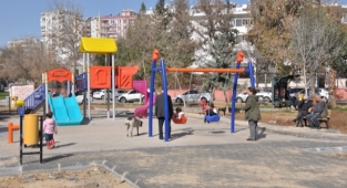 Çukurova yemyeşil