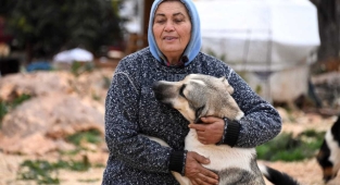 Gönüllü hayvansever 80 kedi ve köpeğe bakıyor