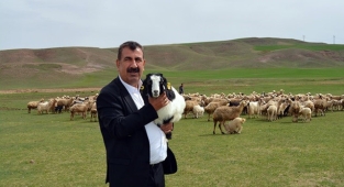 Kuzu ölümleri önlenmeli