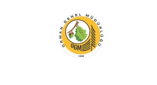 ORMANCILIK ÇALIŞMALARININ TAKİBİ İHALESİ