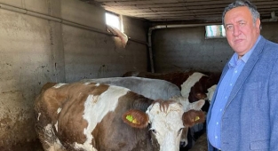 1 litre süt 1 kilo yem etmiyor