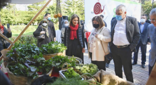 Adana Çiftçi Pazarı açıldı