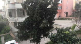 Adana'ya kar yağdı